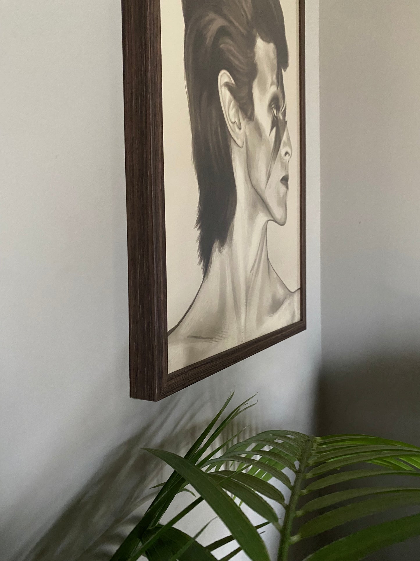 Ziggy - framed print