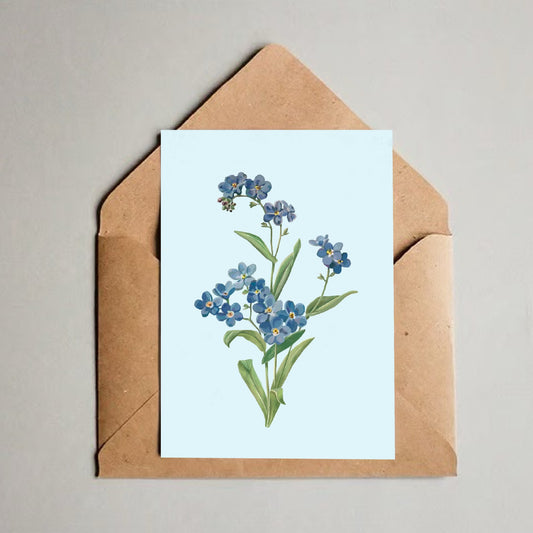 Kort med konvolutt  - Forglemmegei